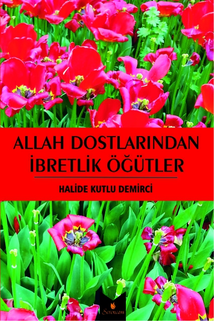 Allah%20Dostlarından%20İbretlik%20Öğütler%20/%20Halide%20Kutlu%20Demirci