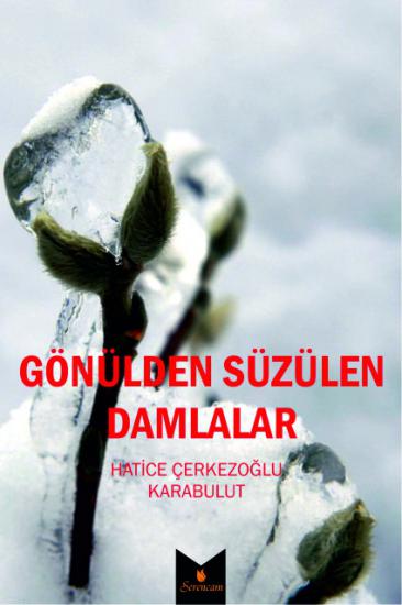 Şiir